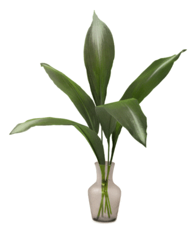 BETTER MONDAY Sticker