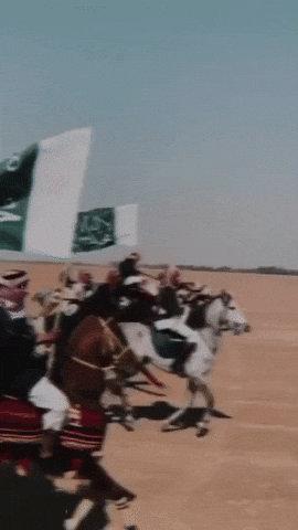 Arabian Horse Arabia GIF