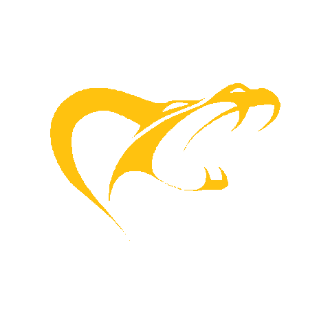 Sticker by Berlin Kobra Ladies