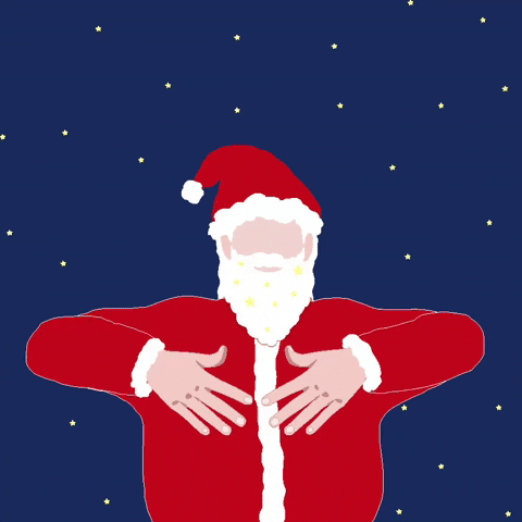 Merry Christmas Frohe Weihnachten GIF by talking hands