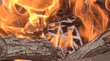 Artwork GIF