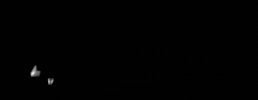 Nic GIF by Nicnet