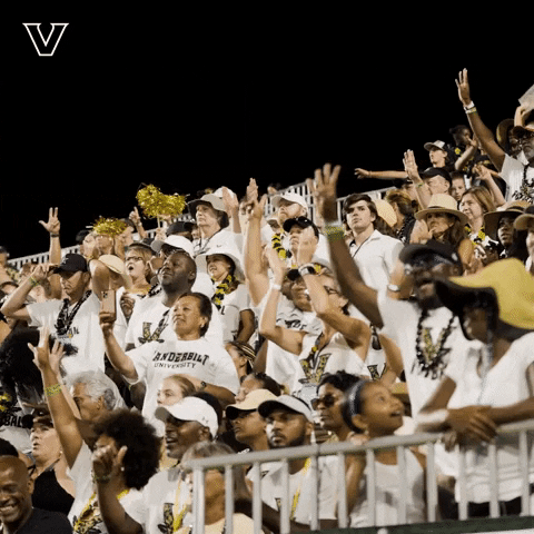 Happy College Football GIF by Vanderbilt Athletics