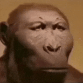 Dumb Caveman Monkey GIF