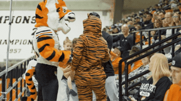 Football Mascot GIF by Idaho State University