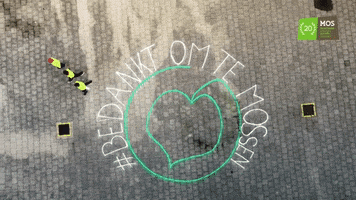 MOS - duurzame scholen, straffe scholen GIF