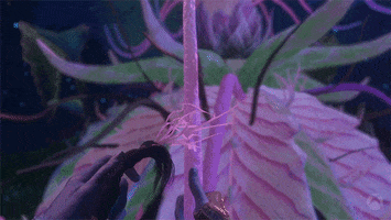 Two Worlds Loop GIF by Xbox