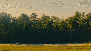 In The Car Friends GIF by Curtis Waters