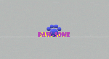 Cat Dog GIF by Atta Boy! Animal Care