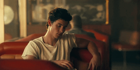 Shawn Mendes Camila Cabello GIF by Shawn Mendes - Find & Share on GIPHY