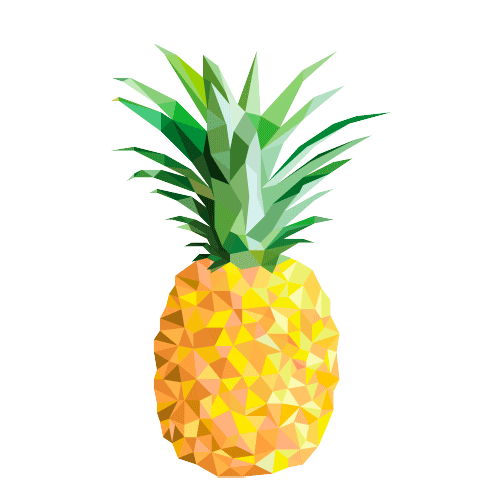 Pineapple Sticker by North Country Craft