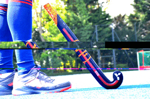 Field Hockey Sticks GIF by Y1Hockey