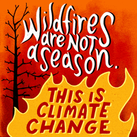 Climate Change Fire GIF by INTO ACTION