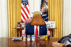 Donald Trump Goya GIF by NYSDESIGN
