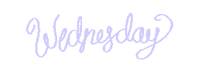 Aesthetic Sticker