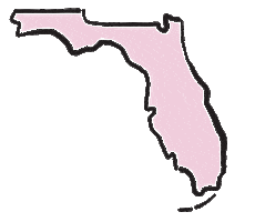 South Florida Beauty Sticker by laserbynicole