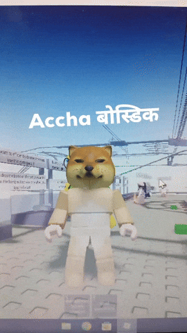 Accha बसडक GIF