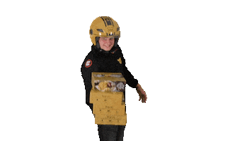 De Beren Sticker