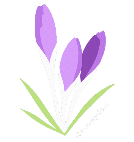 Travel Yukon Sticker