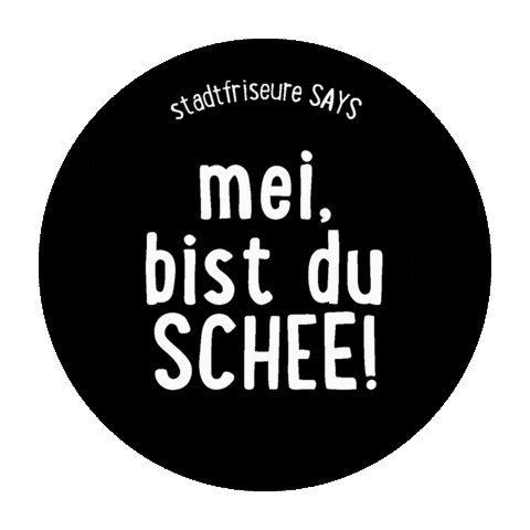 Party Hair Sticker by Stadtfriseure Regensburg