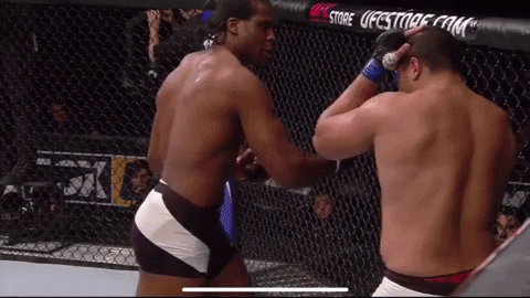 The Power Of Francis N Gannou How N Gannou Capitalizes On Opponent S Mistakes To Win Fights The Fight Library