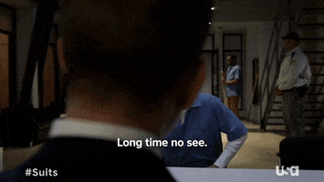 Usa Network Television GIF by Suits