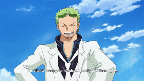 Zoro One Piece Gifs Get The Best Gif On Giphy