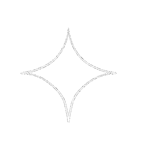 Illustration Star Sticker