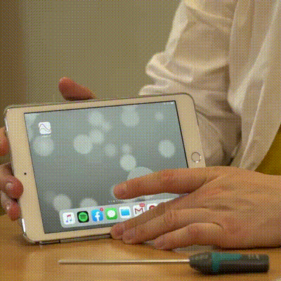 Vernier GIF