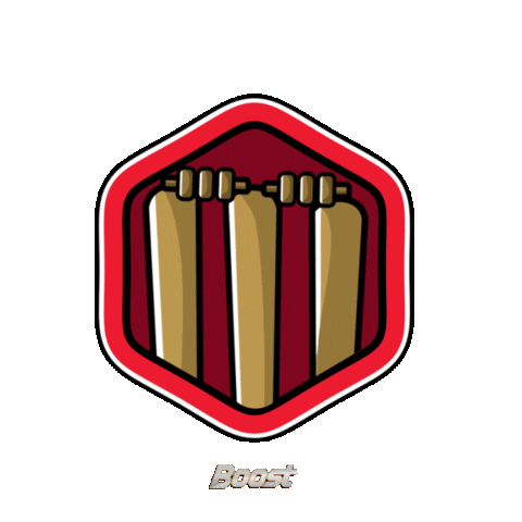 Football Home Sticker by Boost Energy