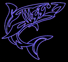 Submission Shark GIF