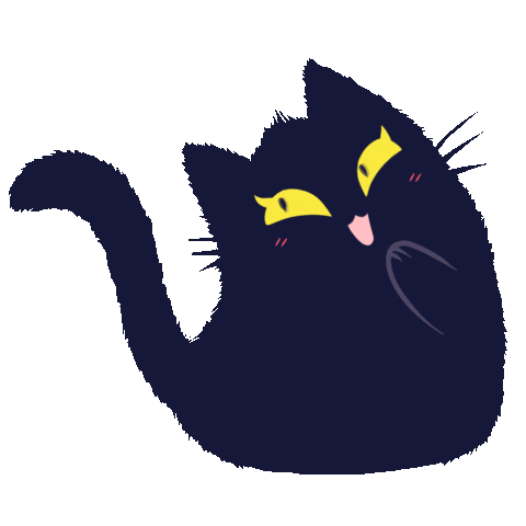 Cat Omg Sticker for iOS & Android | GIPHY