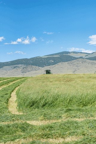 Farming GIF by Split Diamond Ranch
