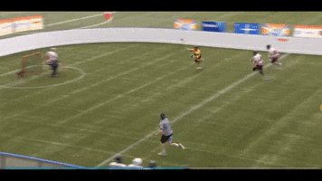 Finlax GIF