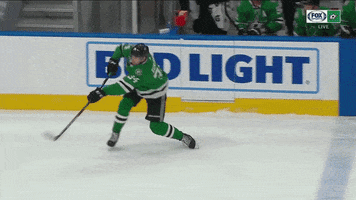 Celebrate Stanley Cup Playoffs GIF by FOX Sports Southwest