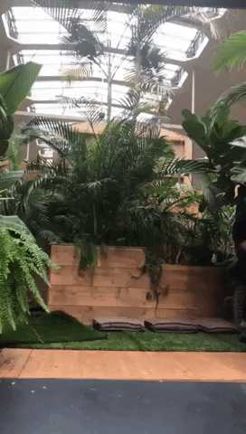Presse GIF