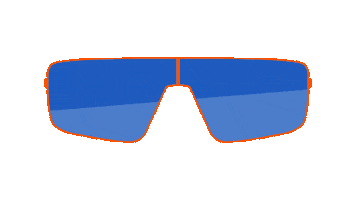 Sun Shooting Sticker by Apollo Optik