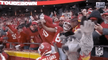 Celebrate National Football League GIF by NFL