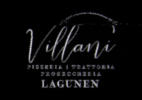 Villani GIF