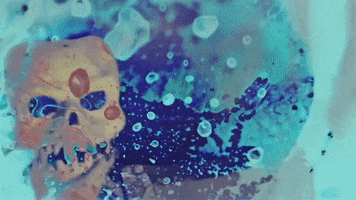 200.gif?cid=fc005b08fde5ac599ab903233a87104504273a65a7cdc80b&rid=200.gif&ct=g