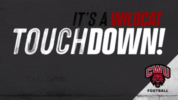 Touchdown Wildcats GIF by CWU Athletics
