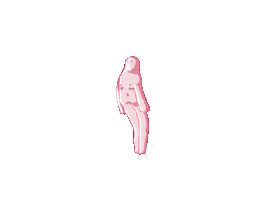 Pink Pig Sticker