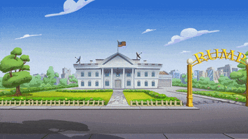 White House Trump GIF by Noise Nest Network
