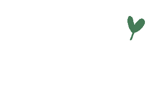 Zelena Sticker by Pokojovky