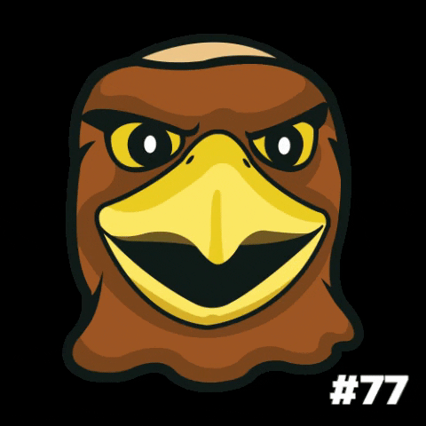 marquettebasketball basketball mascot eagle marquette GIF