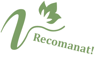Excelsia Sticker