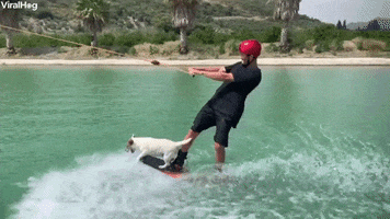 200.gif