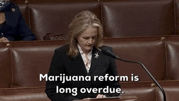 Madeleine Dean GIF by GIPHY News