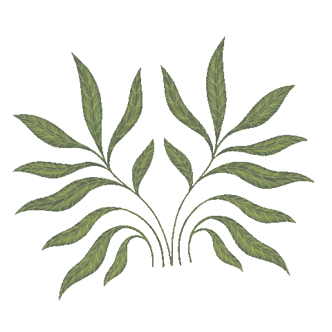 Queridaagenda Queridaagenda23 Agenda Organizacion Emprendedoras Sonadoras Querida Sticker by QUERIDA