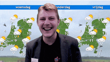 Dogfight Digital GIF